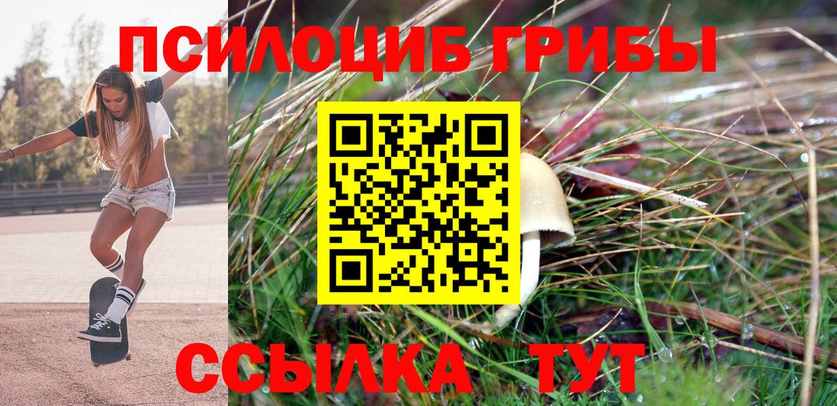 Псилоцибиновые грибы MAGIC MUSHROOMS Миасс